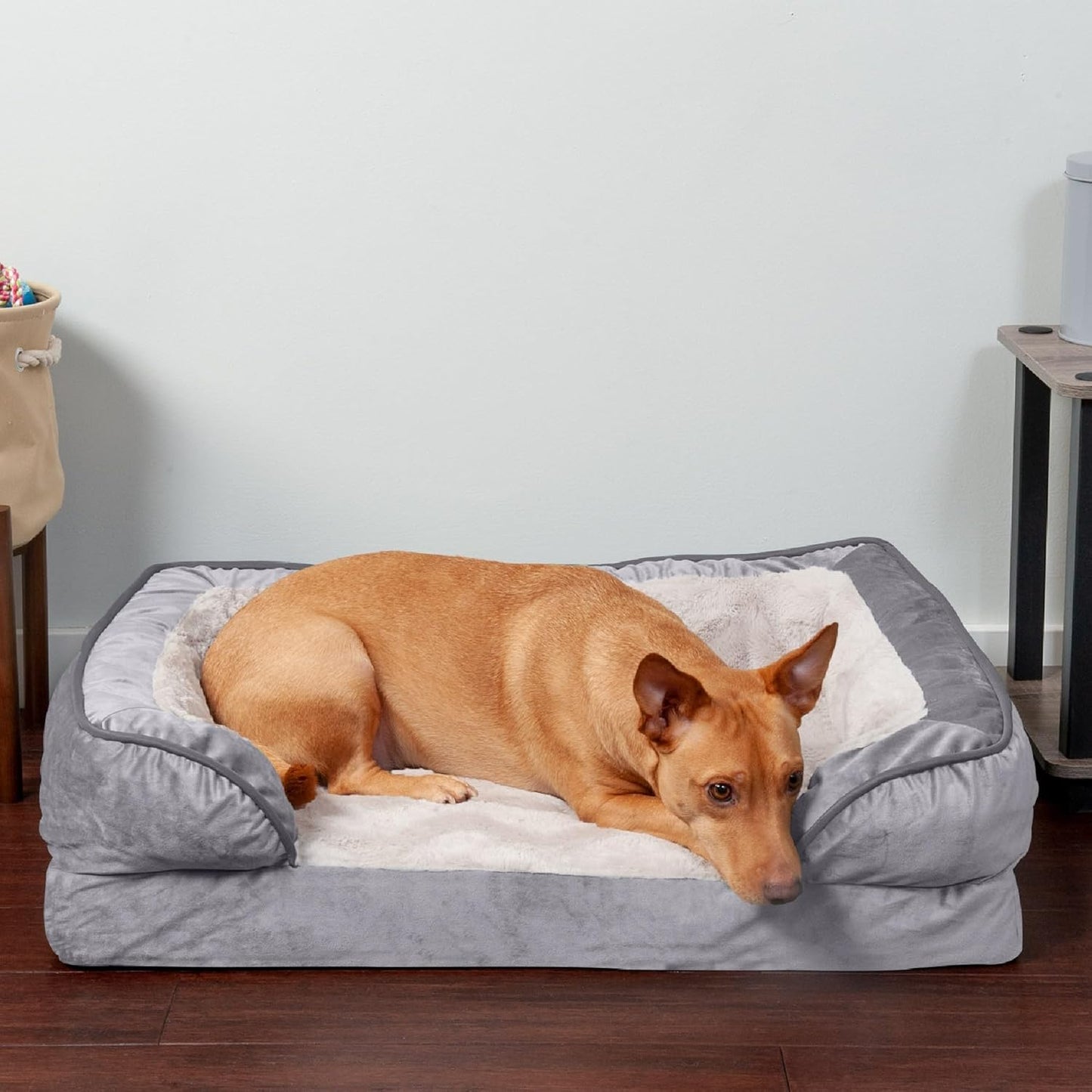 Orthopedic, Cooling Gel, and Memory Foam Pet Beds for Small, Medium, and Large Dogs and Cats - Luxe Perfect Comfort Sofa Dog Bed, Performance Linen Sofa Dog Bed, and More