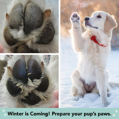 Pawtection Dog Paw Balm, Protects Paws from Hot Surfaces, Sand, Salt, & Snow, Organic, All Natural Ingredients